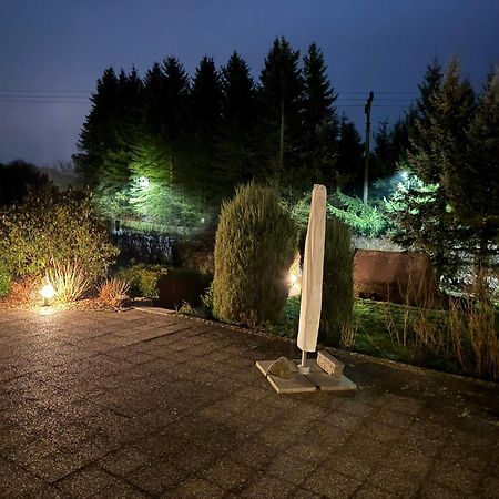 Penzion Tamara Vilemov  Exteriér fotografie