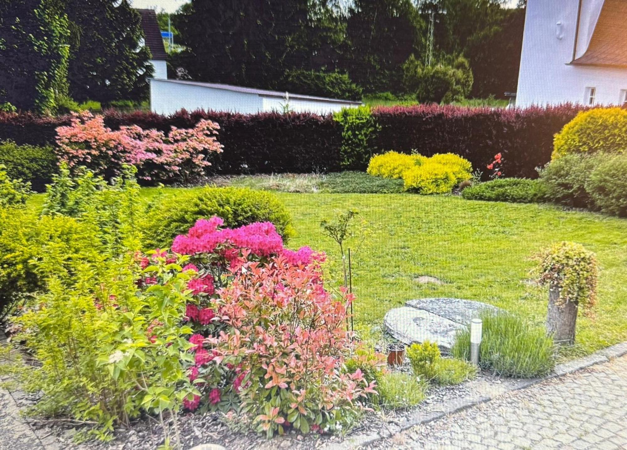 Penzion Tamara Vilemov  Exteriér fotografie